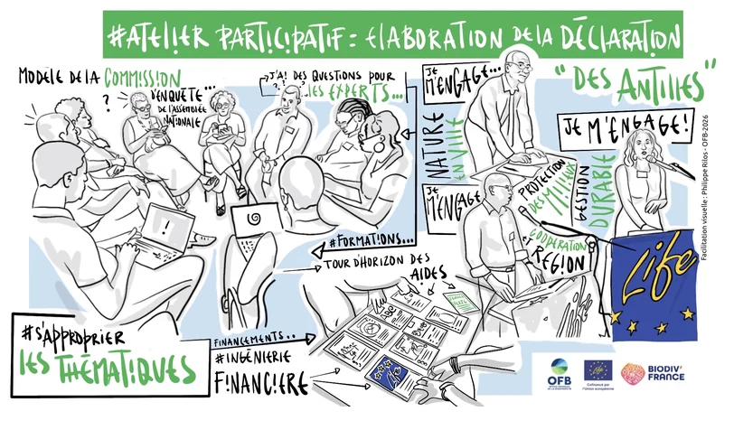 Fresque graphique : Atelier participatif, élaboration de la déclaration des Antilles, réalisée pour l'OFB